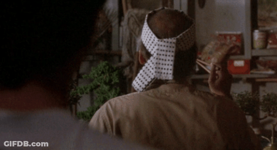 Mr Miyagi Karate Kid What GIF