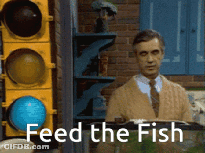 Mr Rogers Feed The Fish GIF