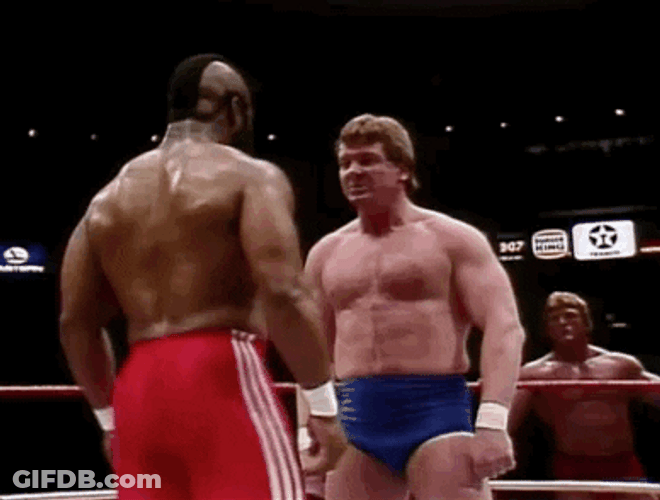 Mr T Roddy Piper Wrestling GIF