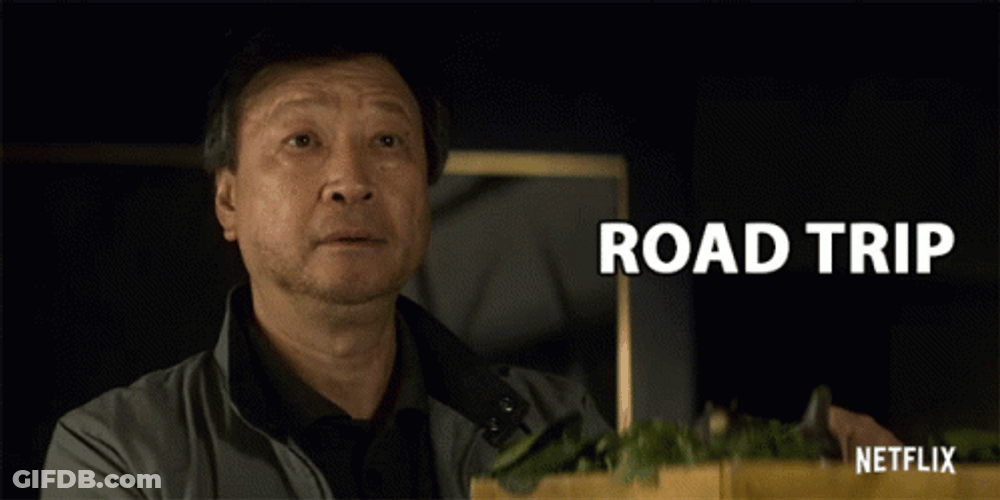 Mr. Young Road Trip GIF