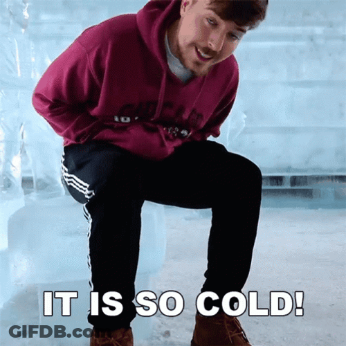 Mrbeast Meme It Is So Cold GIF