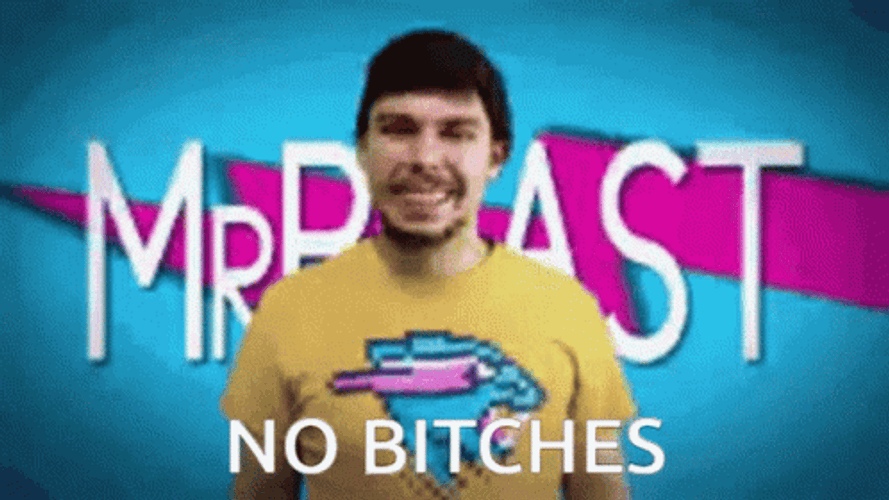 Mrbeast Meme No Bitches GIF