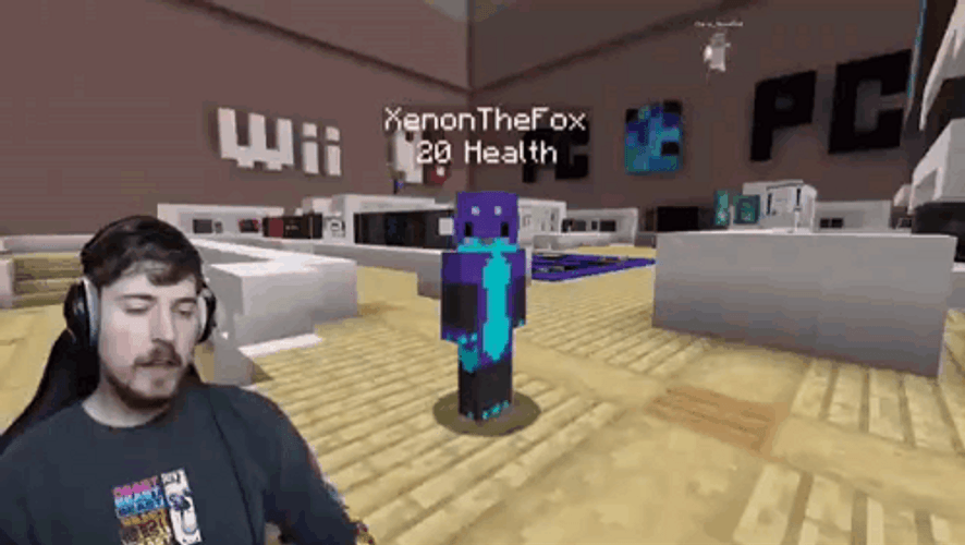 Mrbeast Meme Playing Minecraft GIF