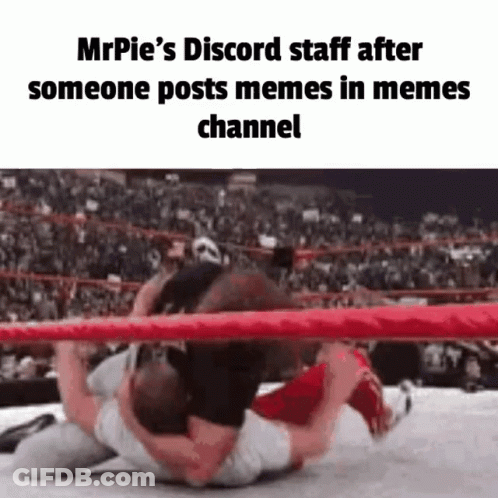 Mrpie's Discord Staff After Someone Posts Memes In Meme Channel GIF