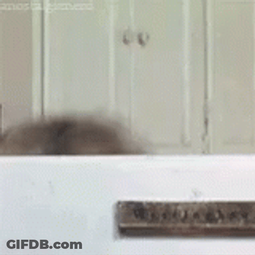 Mrs Doubtfire Funny Melting Face GIF