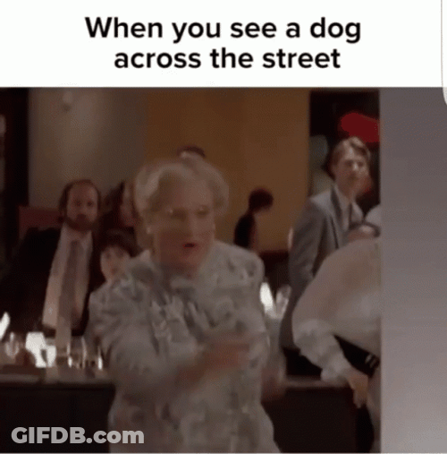 Mrs Doubtfire Running From Dog Meme GIF