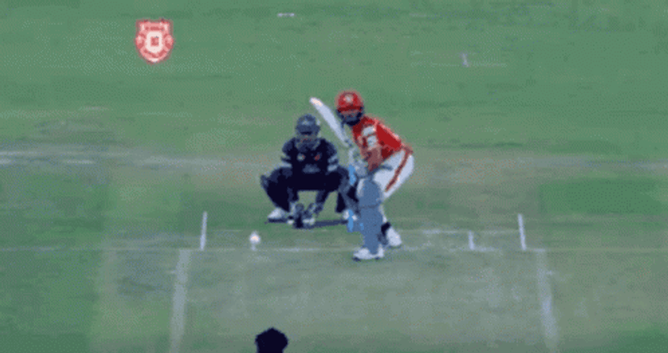 MS Dhoni Cricket GIF