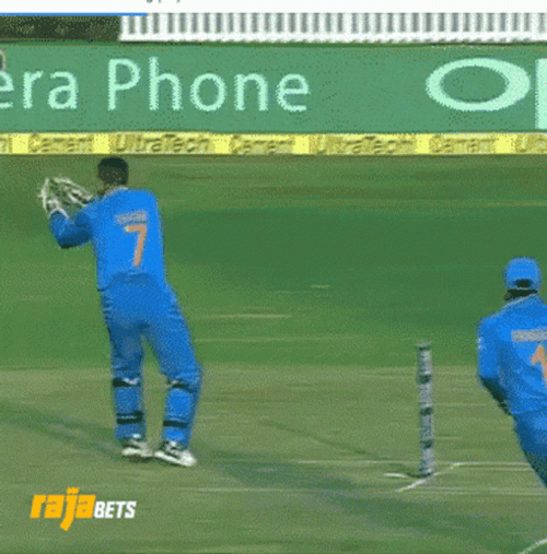 MS Dhoni Cricket Catch GIF