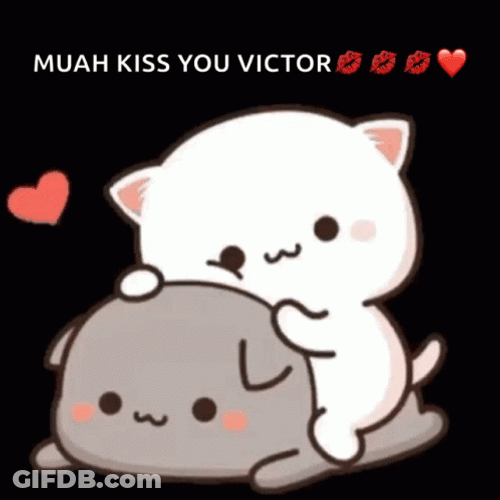 Muah Mochi Peach Cat Cuddling GIF