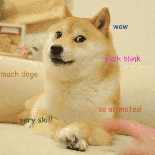 Much Wow GIF