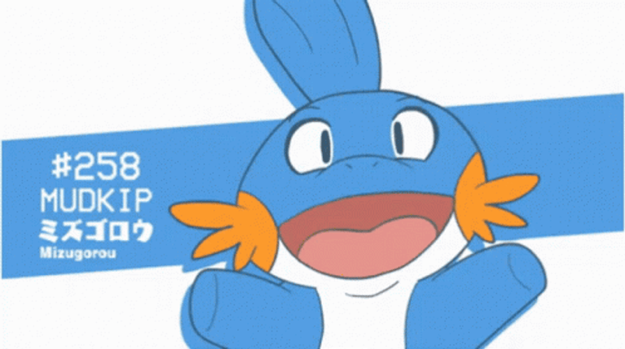 Mudkip Pokemon Evolution GIF