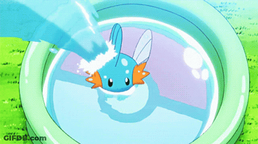 Mudkip Swimming In The Pool GIF