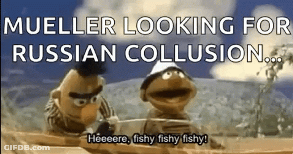 Mueller Looking For Russian Collusion Bert And Ernie GIF