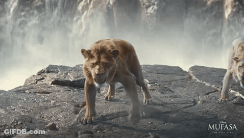 Mufasa And Lion On Rocky Hillside GIF