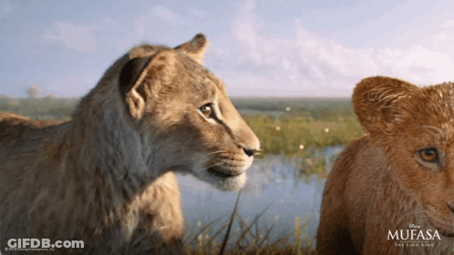Mufasa Poster With Two Lions GIF