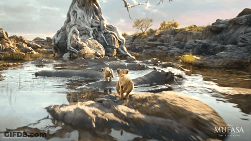 Mufasa The Lion King Movie Poster With Two Lion Cubs In Water GIF