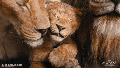 Mufasa The Lion King Poster Lioness Holding Cub GIF