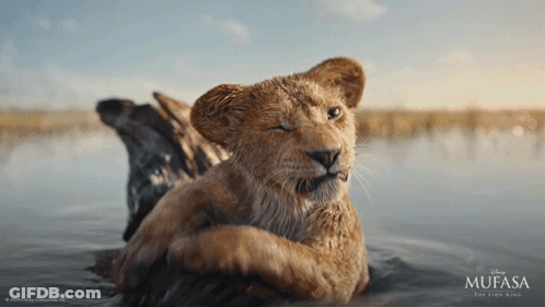 Mufasa The Lion King Poster With Lion Cub In Water GIF