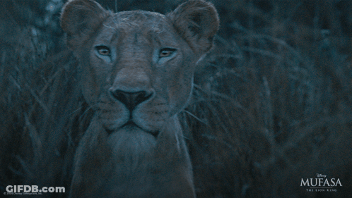 Mufasa The Lion King Poster With Lioness GIF