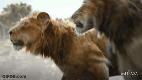 Mufasa The Lion King Poster With Two Lions GIF
