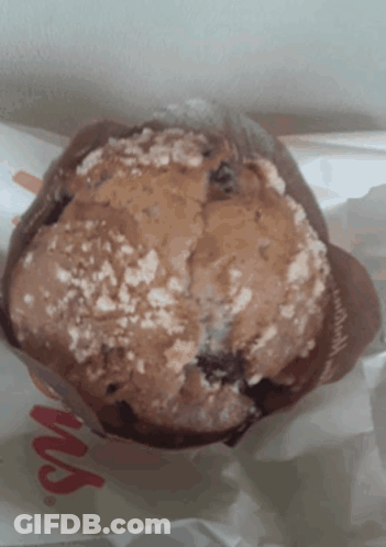 Muffin Saying Noodles GIF