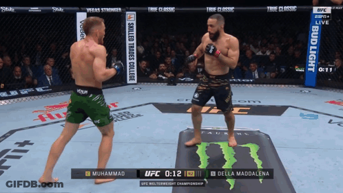 Muhammad And Della Maddalena Fighting In UFC GIF