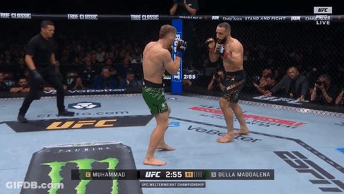 Muhammad And Della Maddalena Fighting In UFC Ring GIF