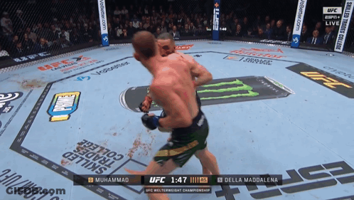 Muhammad And Della Maddalena Fighting In UFC GIF