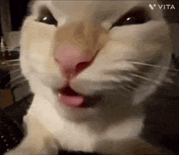 Muhehehe GIF