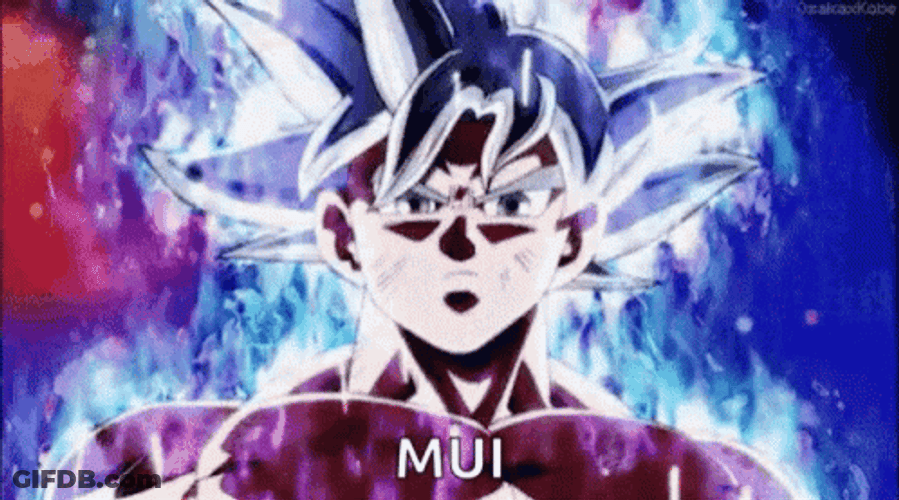 Mui Goku Power Up Fighting GIF