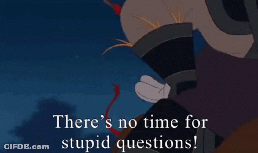 Mulan Mushu No Time For Stupid Questions GIF