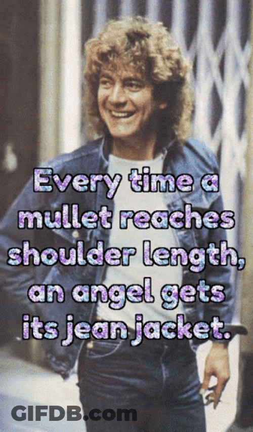 Mullet Haired Robert Plant GIF