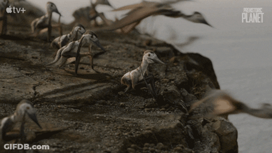 Multiple Baby Velociraptor Learning To Fly GIF