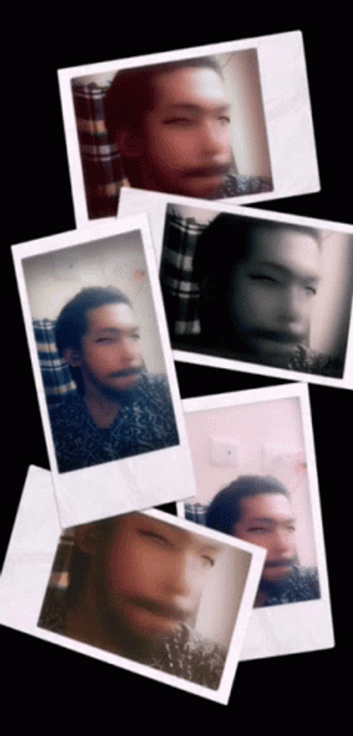 Multiple Polaroid Film Filter GIF