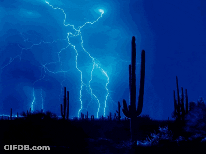 Multiple Thunderstorm Behind Cactus GIF