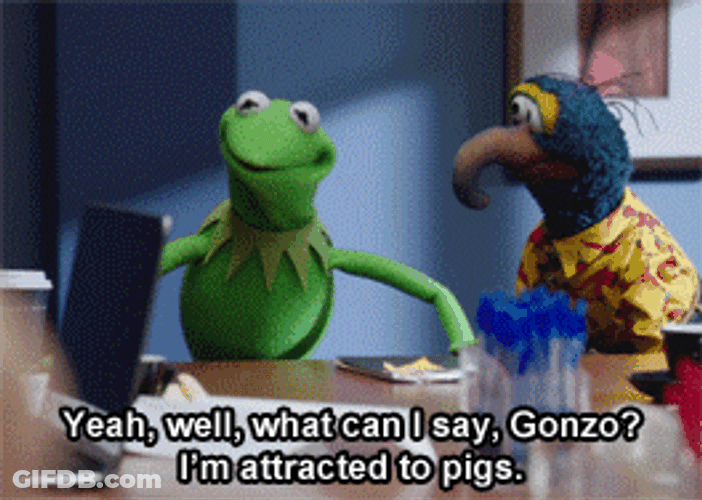 Muppet Characters Gonzo And Kermit GIF