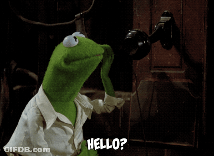 Muppet Kermit Hello? GIF