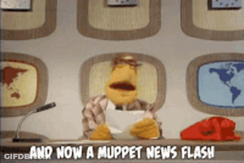 Muppet News Anchor And Now Muppet News Flash GIF