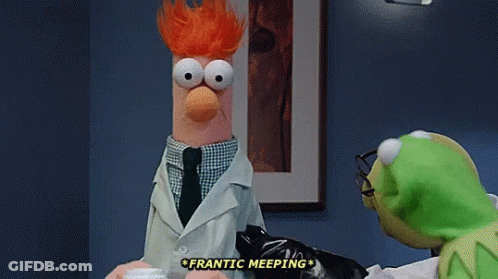 Muppet Show Beaker And Kermit Talking GIF