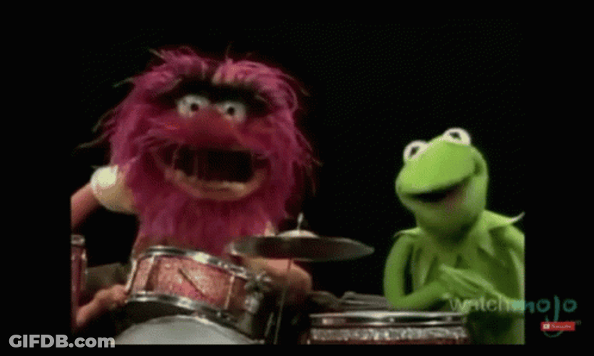 Muppets Animal And Kermit The Frog GIF