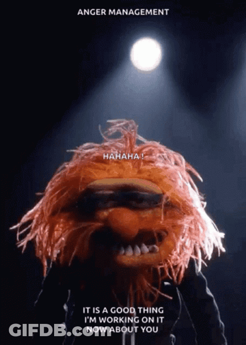 Muppets Animal Anger Management GIF