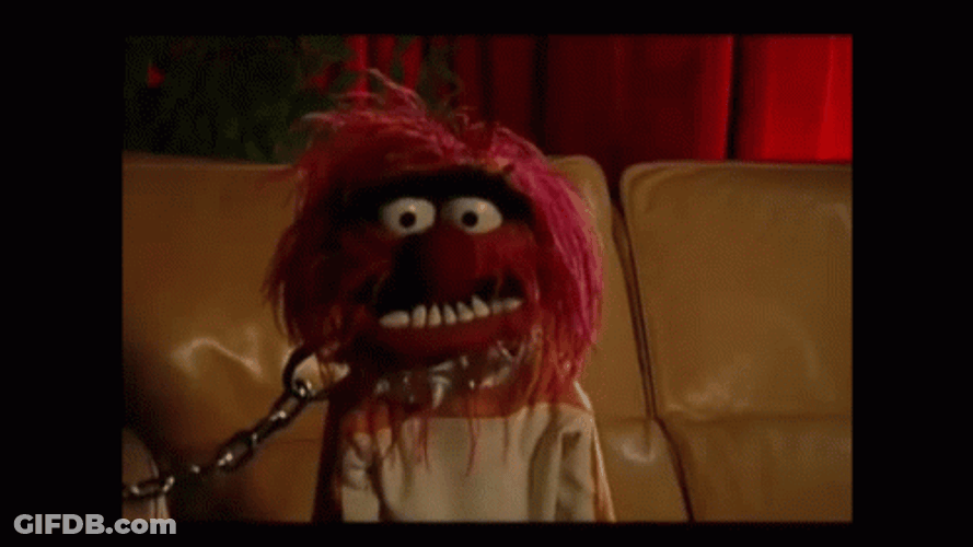 Muppets Animal Hi GIF