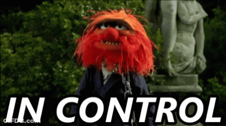 Muppets Animal In Control GIF