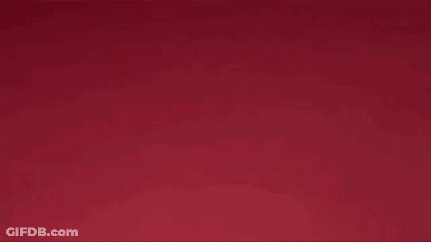 Muppets Animal Surprised GIF