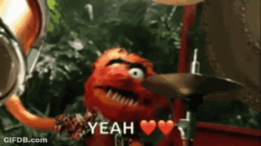 Muppets Animal Yeah GIF
