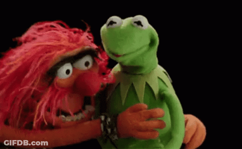 Muppets Floyd And Kermit Hugging GIF
