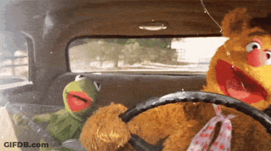 Muppets Fozzie Bear And Kermit Joy Ride GIF