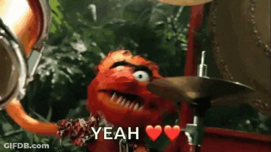 Muppets Frantic Animal Paying Drums GIF
