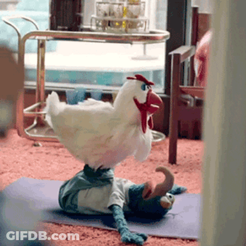 Muppets Gonzo Working Out With Chicken GIF