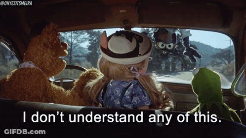 Muppets In A Car With The Words " I Don 'T Understand Any Of This " GIF